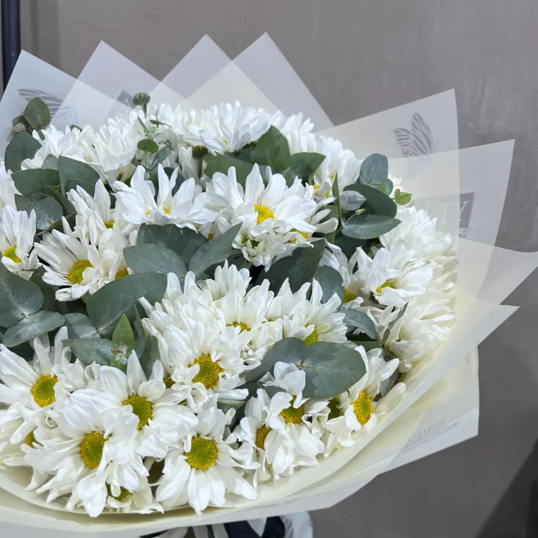 Ramo de flores margaritas blancas